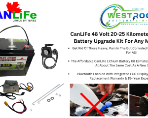 CanLiFe 48V30 Upgrade Kit